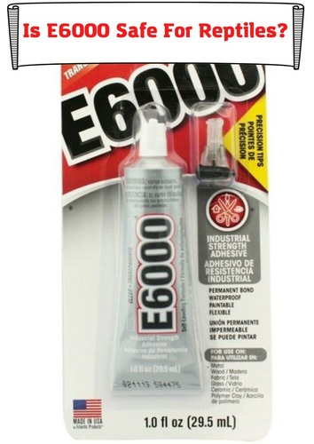 Is E6000 Safe For Reptiles? Choosing The Right Glue With No Harm