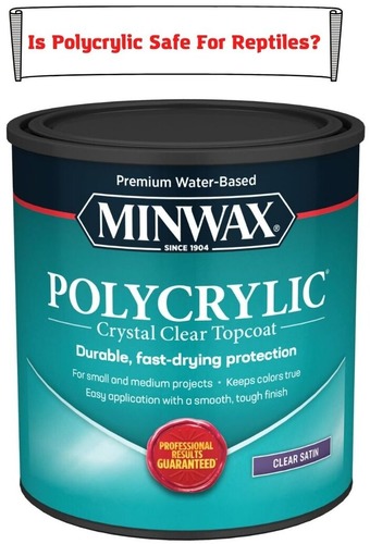 Is Polycrylic Safe For Reptiles? Best Topcoat Alternatives To Use
