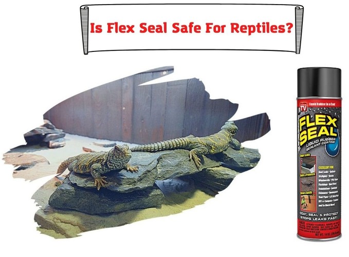 Is Flex Seal Safe For Reptiles? Ways To Seal Your Enclosure Safely