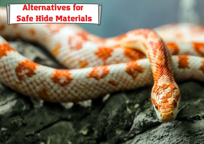 Great Alternatives for Safe Hide Materials